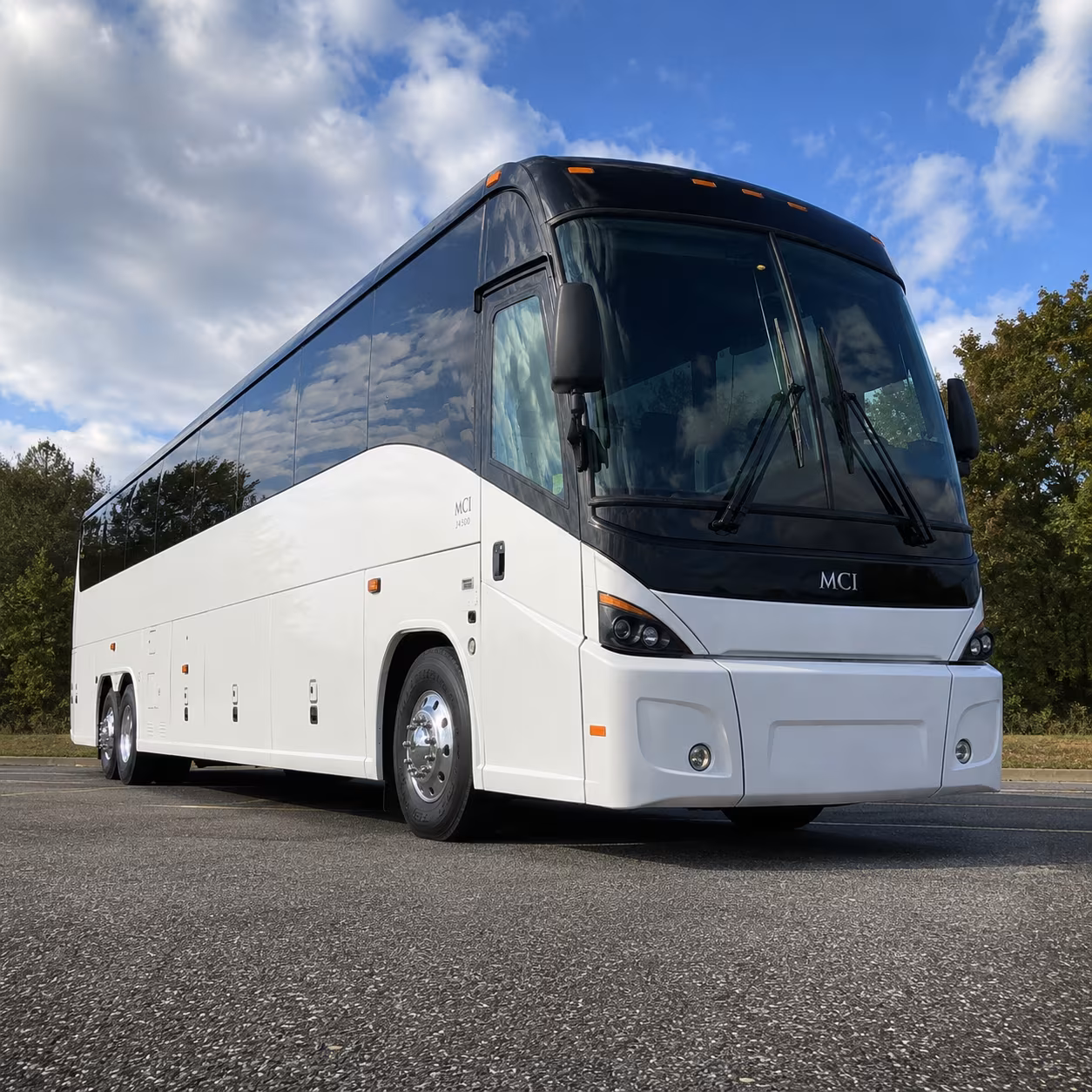 charter buses for abilene zoo field trips and wildlife education days